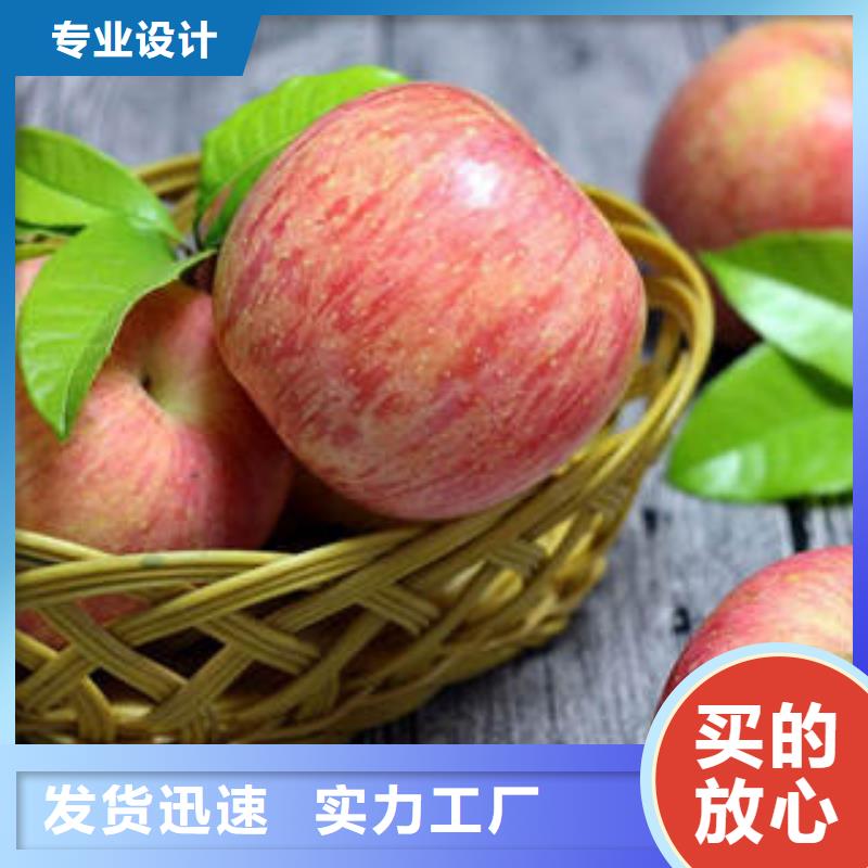 红富士苹果分类和特点