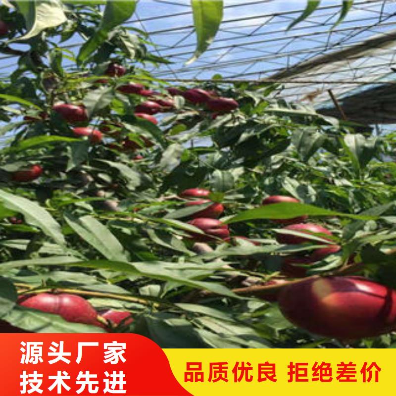 70公分种植方法及时间