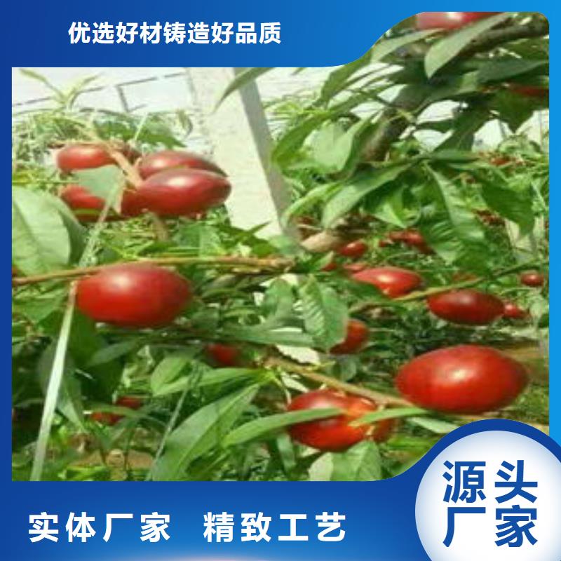 70公分种植方法及时间