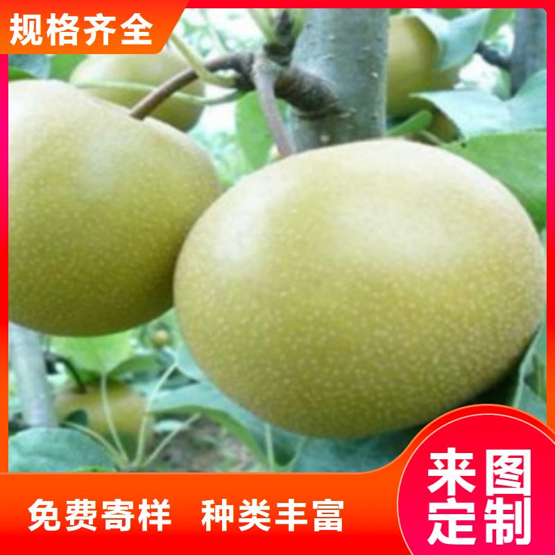 20公分哪里的价格低