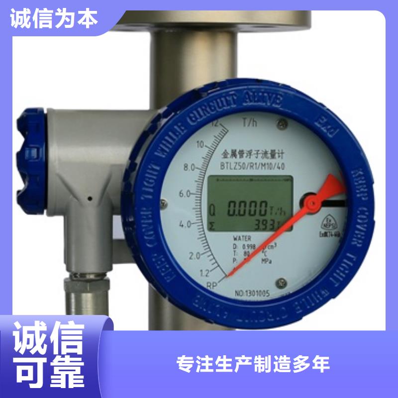 内衬PTFE金属转子流量计高压吹扫装置制造厂家