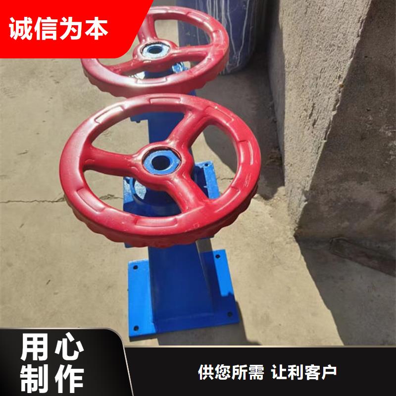 ３０吨手电启闭机厂家