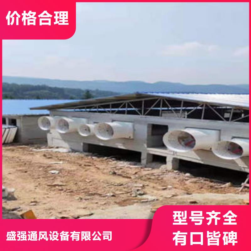 通风气楼天窗厂家