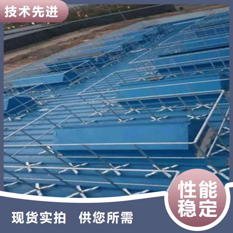 电动采光排烟窗