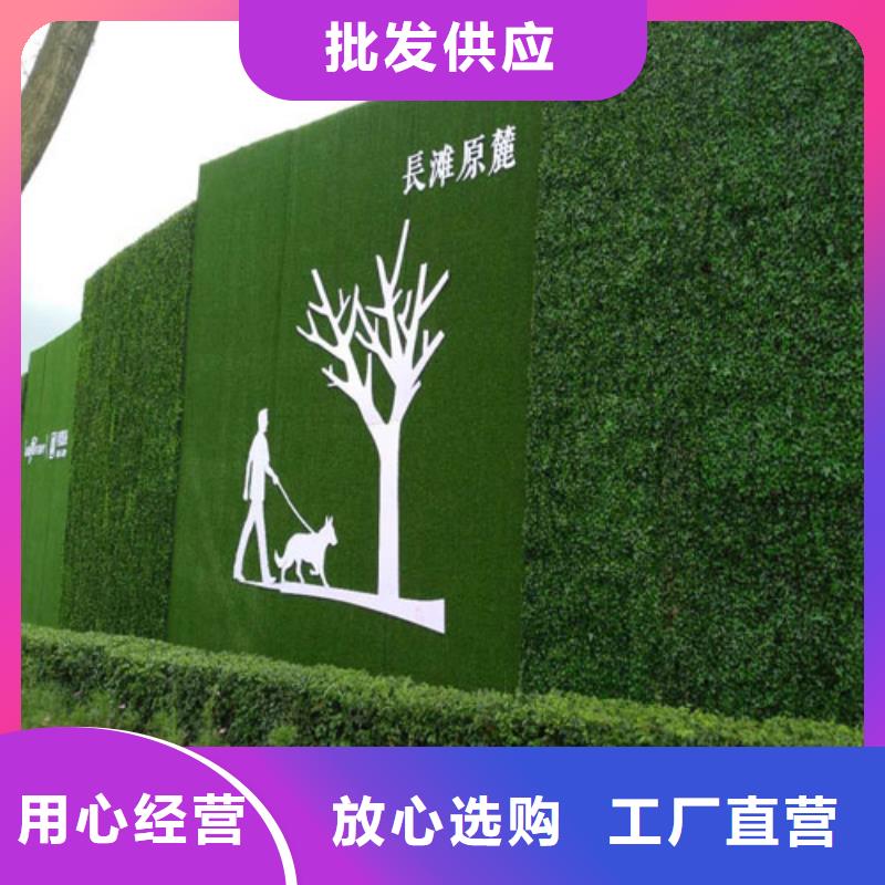 围挡草坪,工地围挡草坪今年新款