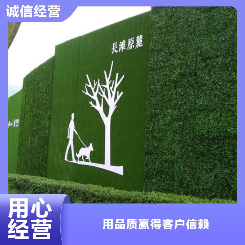 围挡草坪,人工草坪围挡性能稳定