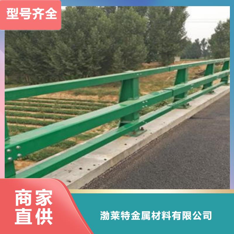桥梁护栏规格优质材料厂家直销【辰铭】实体厂家
