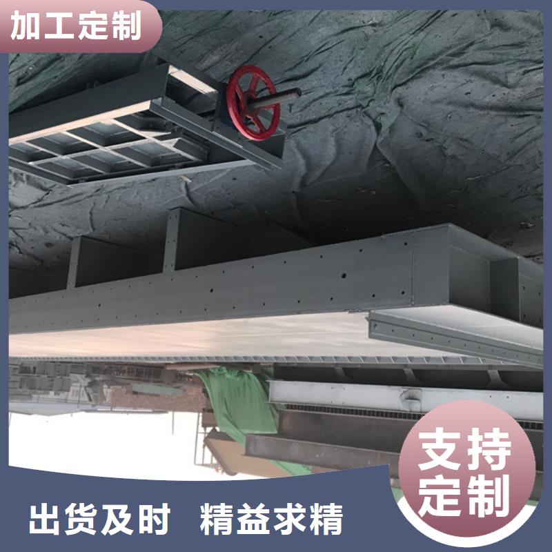【钢闸门启闭机闸门用心做好每一件产品】