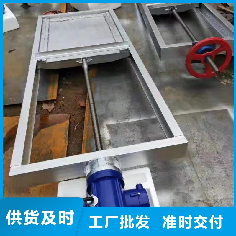 大厂生产品质(瑞鑫)生产机闸一体钢闸门  的公司
