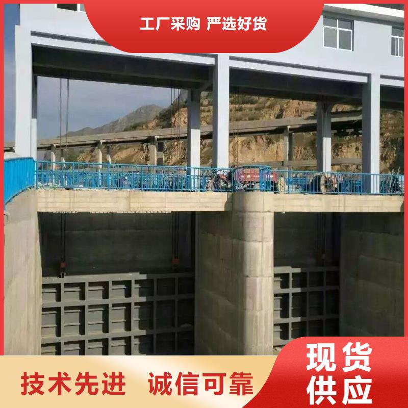 大厂生产品质(瑞鑫)生产机闸一体钢闸门  的公司