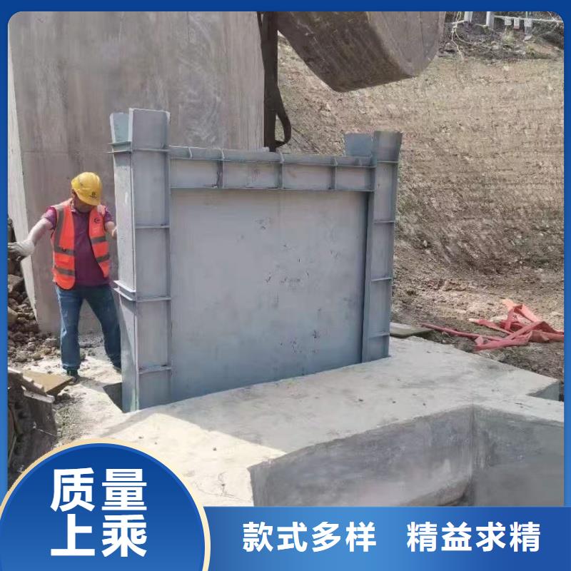 钢闸门钢制钢坝闸门自营品质有保障