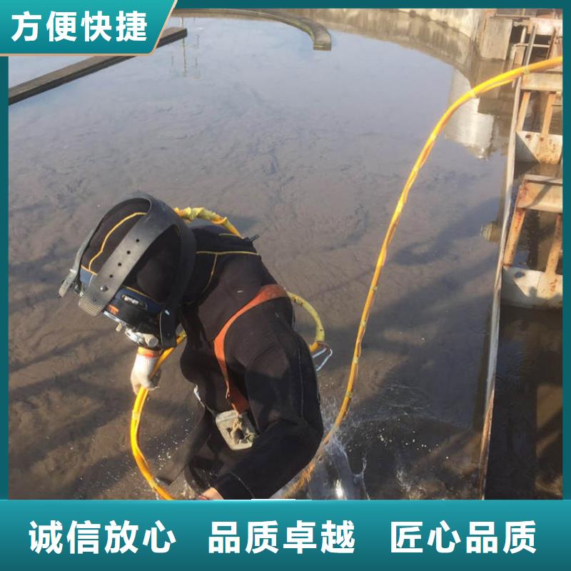 [盛龙]水下作业-乐东县水下安装队,经验丰富