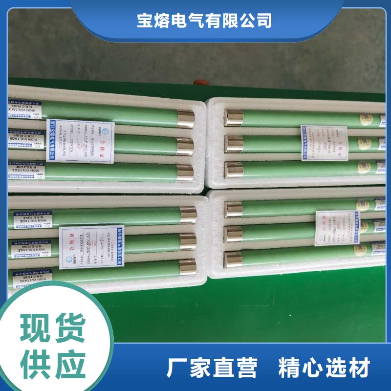 保护电压互感器用高压限流熔断器XRNP1-3.6/2A