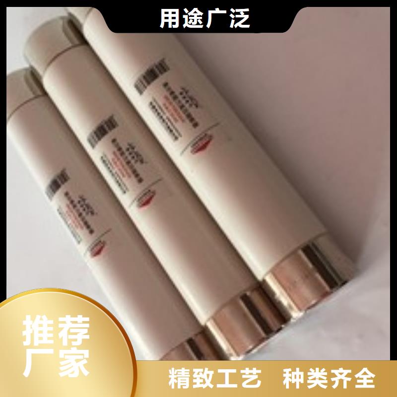 现货熔管XRNT户内高压熔断器变压器专用熔断器