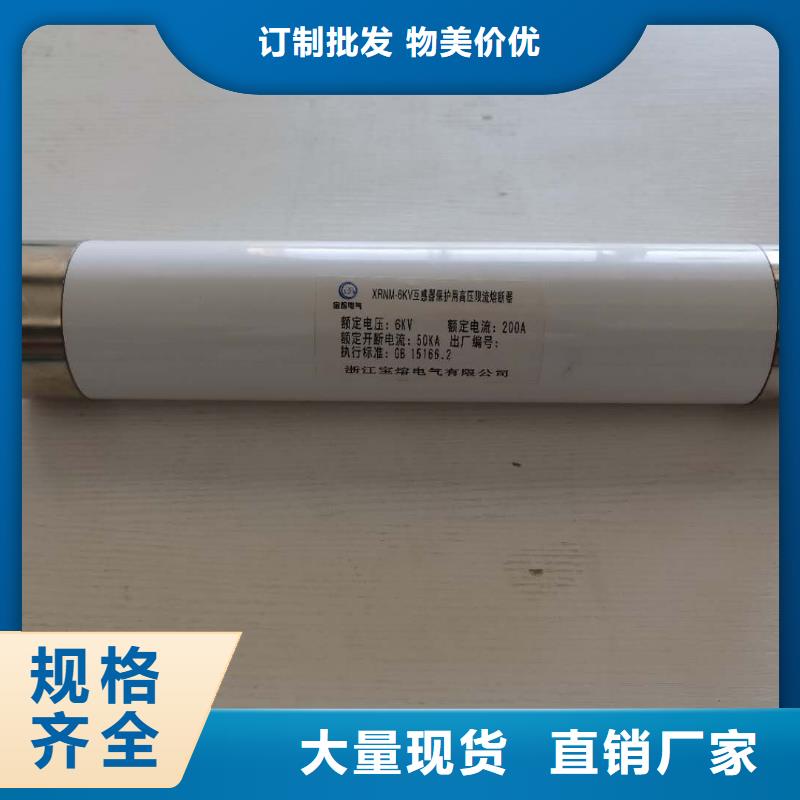 保护电压互感器用高压限流熔断器XRNP1-35/2A厂家