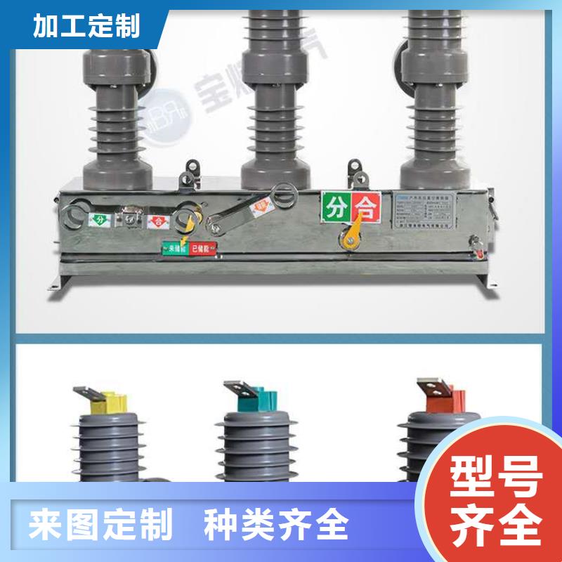 西安户外高压真空断路器ZW32-40.5/630-20