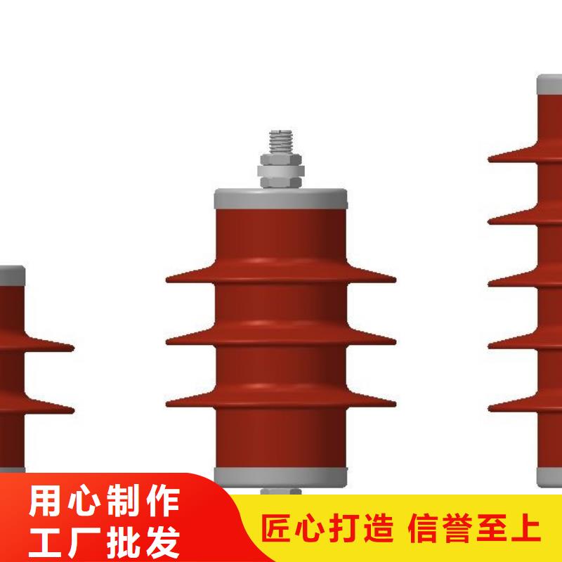 电气化铁道保护用氧化锌避雷器Y10WT-82/230