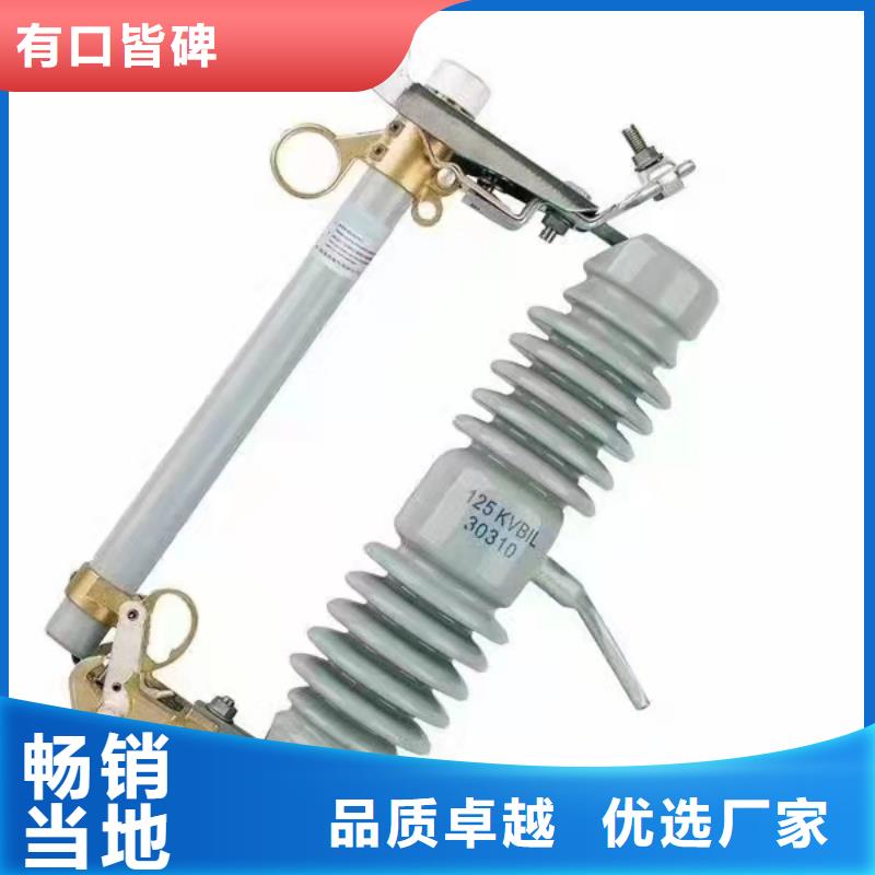 跌落式熔断器【XRNP-10KV高压限流熔断器】厂家现货供应