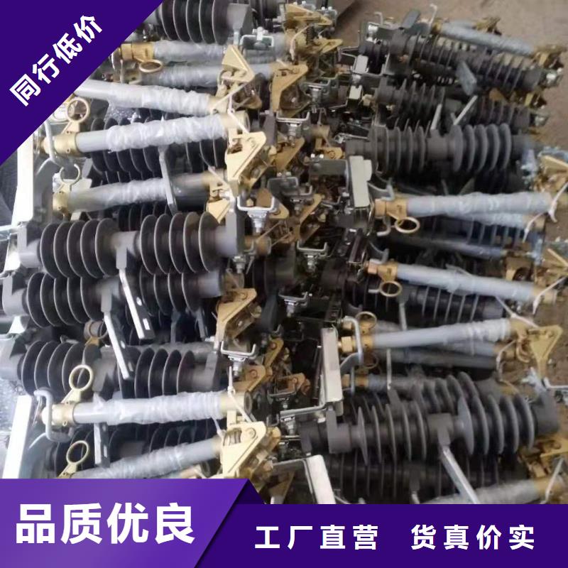 【跌落式熔断器FKN12-12/630A实体诚信经营】