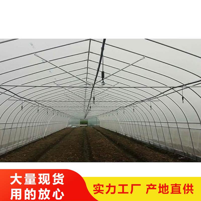四川省产地厂家直销《泽沃》果树骨架钢管批发价2024