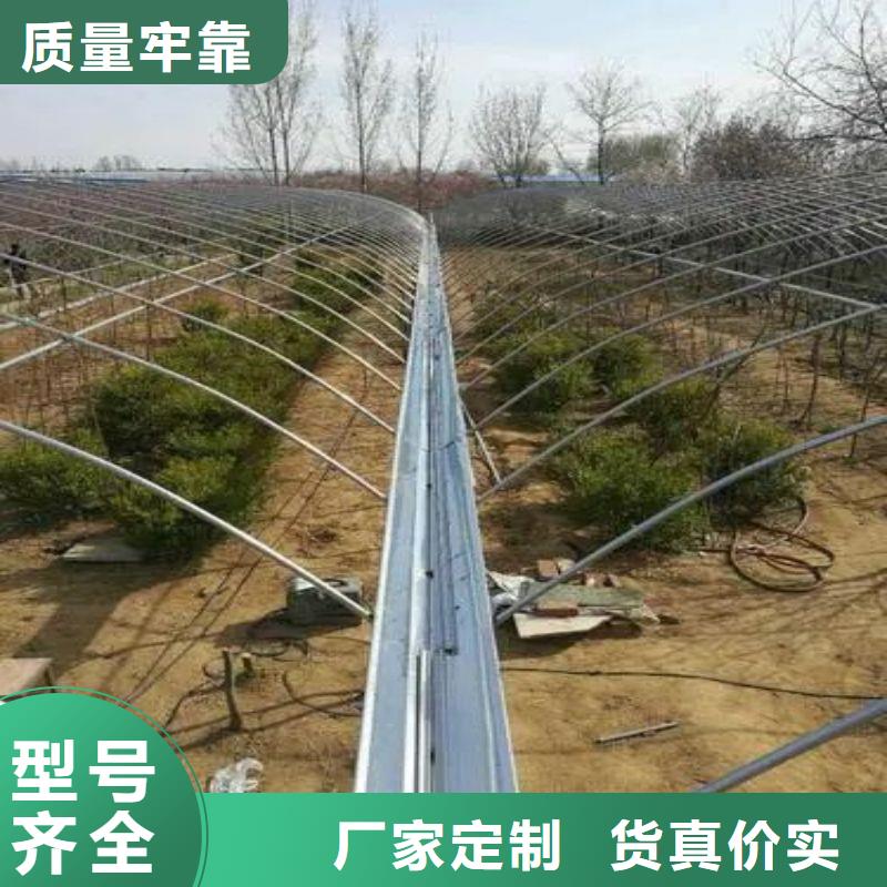 大棚管2_ 大棚管采购无忧