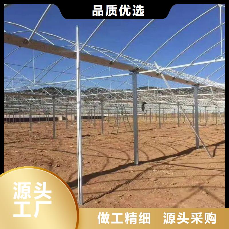 龙泉驿区瓜果大棚管喜欢