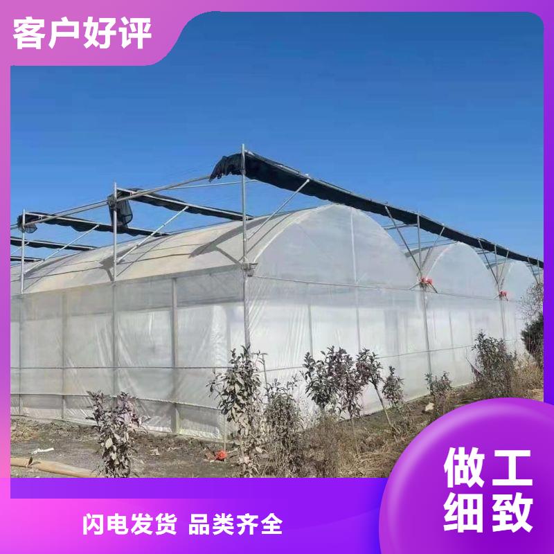 乐清种植大棚10年经验