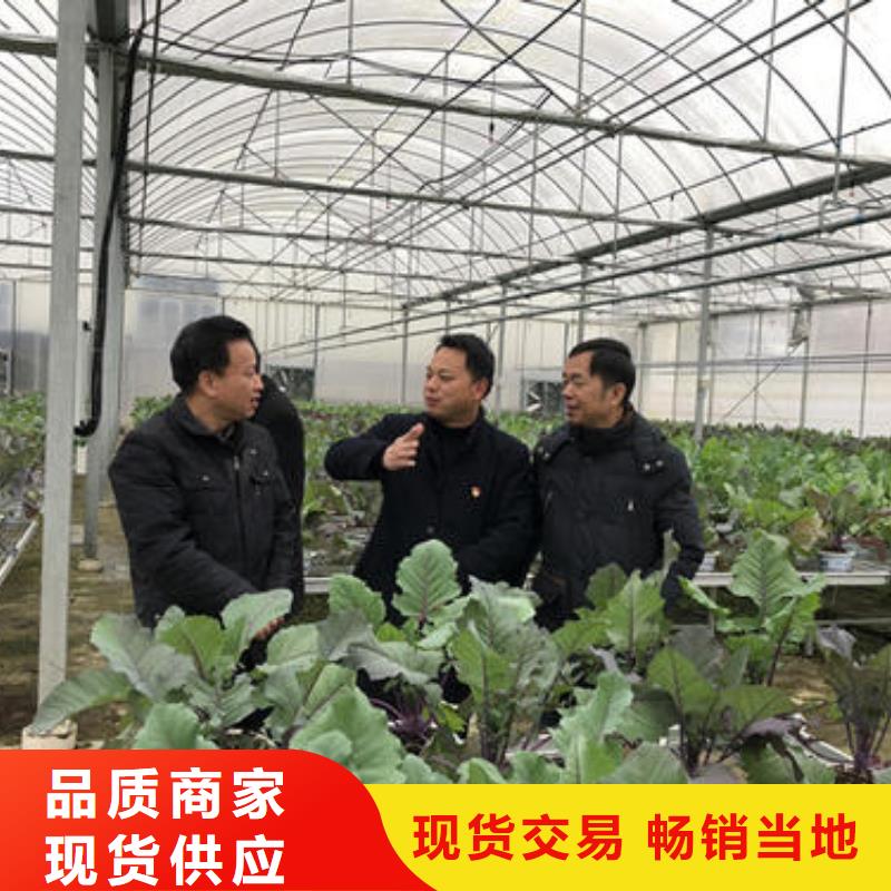 梨树蔬菜大棚管购买2024已更新