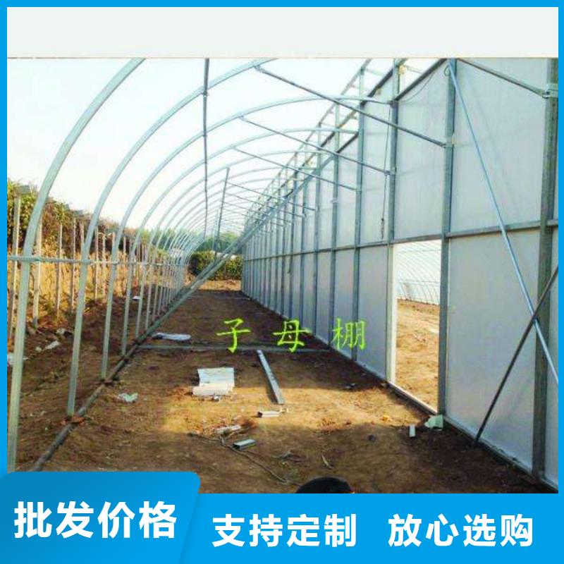 上林蔬菜大棚管良心厂家2024已更新