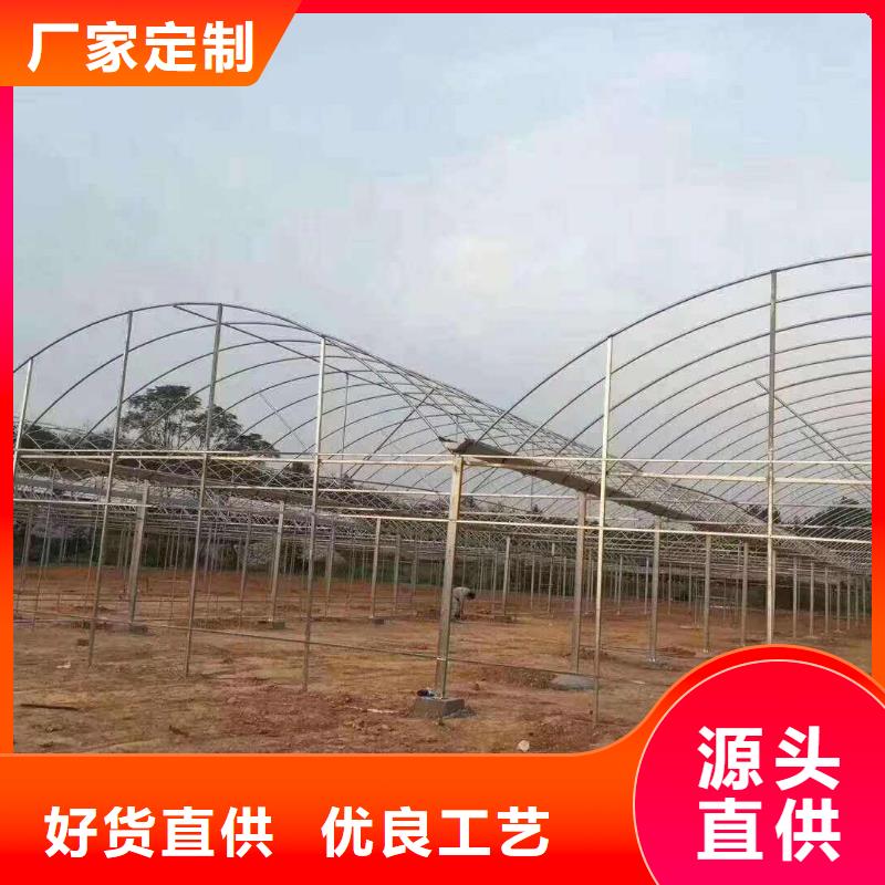 泗洪县葡萄用连体大棚钢管价格一览表