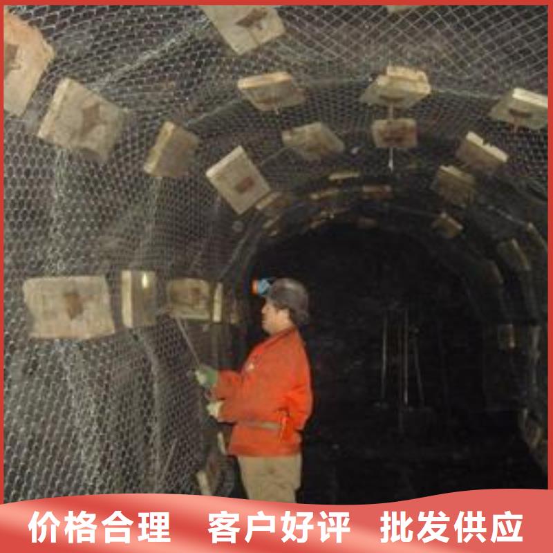 矿用钢塑复合假顶网,土工滤网服务周到