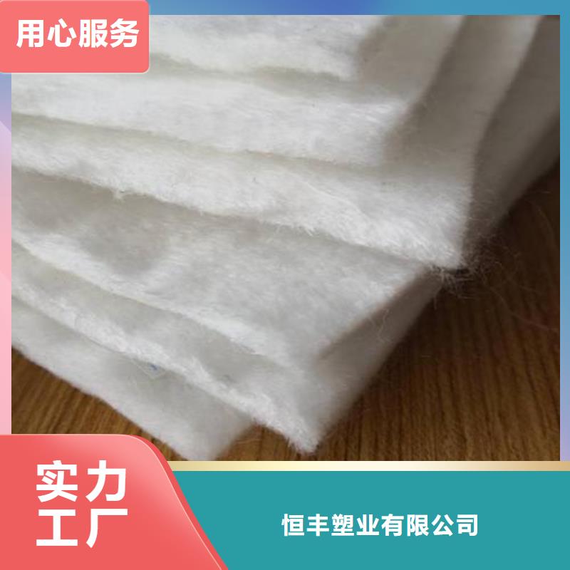 土工布单向塑料土工格栅专注细节使用放心