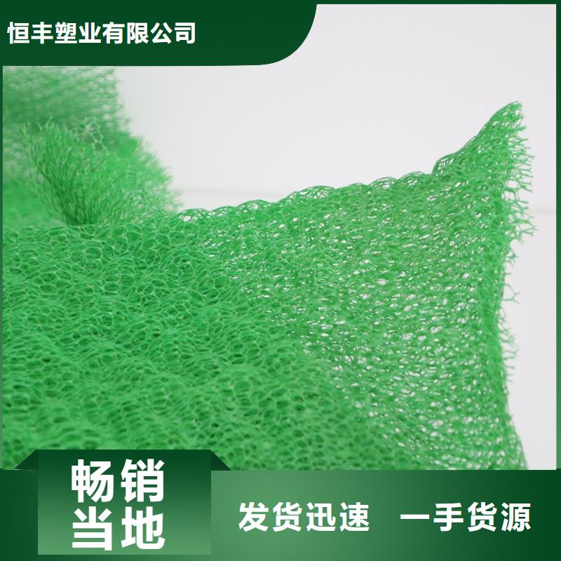 土工格栅-土工布-土工膜-三维植被网-厂家直销