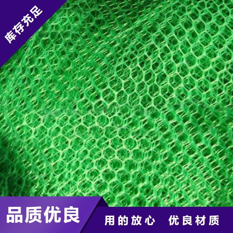三维植被网土工格室真实拍摄品质可靠