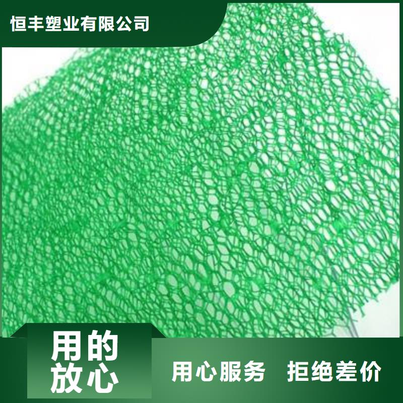 厂家大量现货{恒丰}三维植被网【三维复合排水网】厂家销售