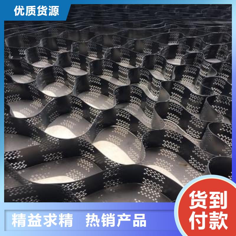 土工格室防渗土工膜制造生产销售
