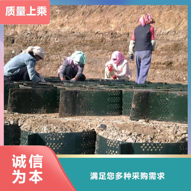 三维复合排水网价格-土工格室-土工格栅-土工膜-排水板山东亿路通