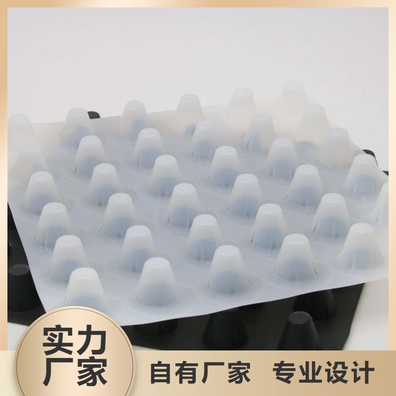 排水板土工格室厂家直营