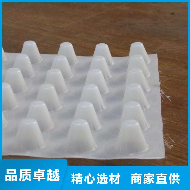 植草格批发-蓄排水板批发-塑料排水板-土工材料厂家-山东亿路通