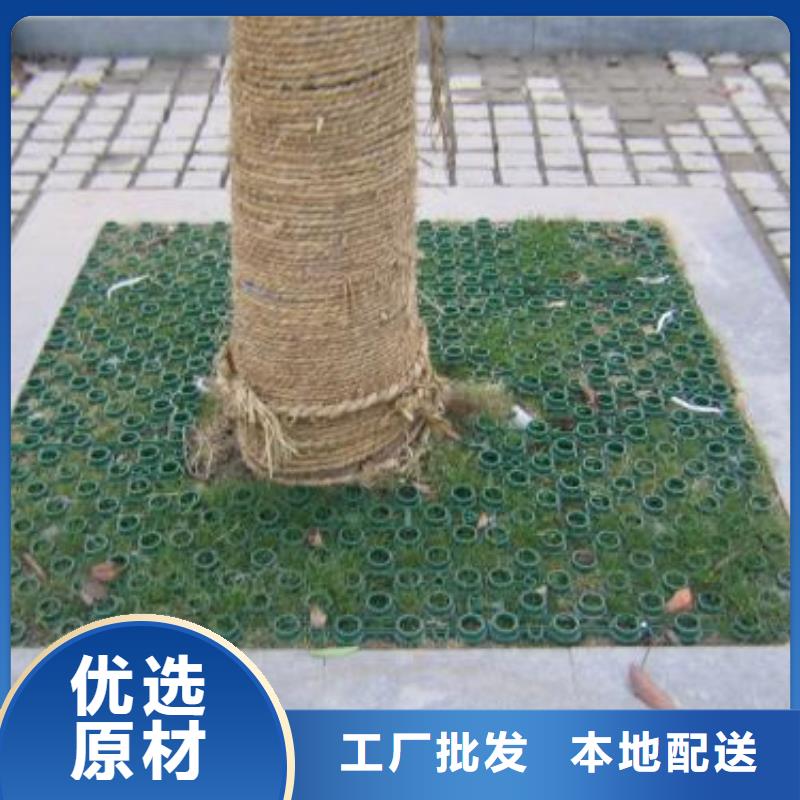 植草格-【三维植被网】工艺层层把关