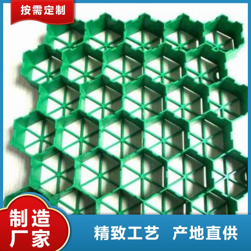 植草格【三维土工网垫】质检严格