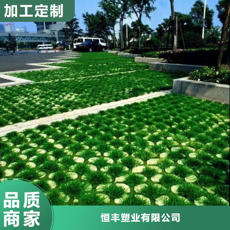 植草格,双向拉伸塑料格栅支持大批量采购