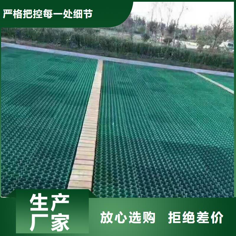 植草格【三维土工网垫】质检严格