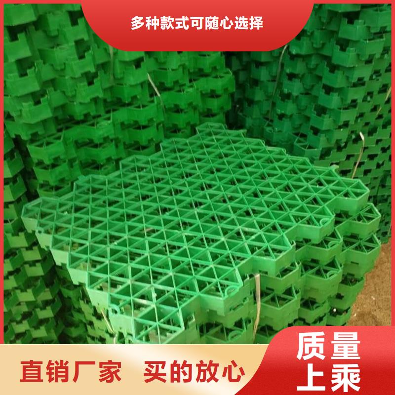 植草格-【三维植被网】工艺层层把关