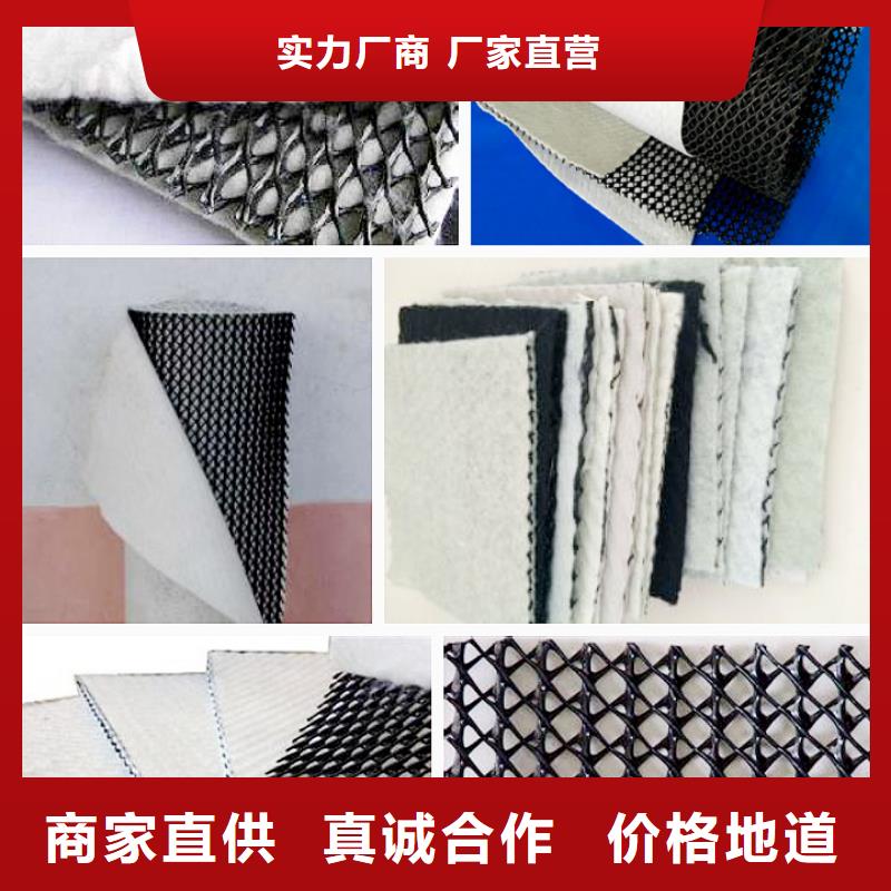 三维复合排水网现货供应-生产厂家】