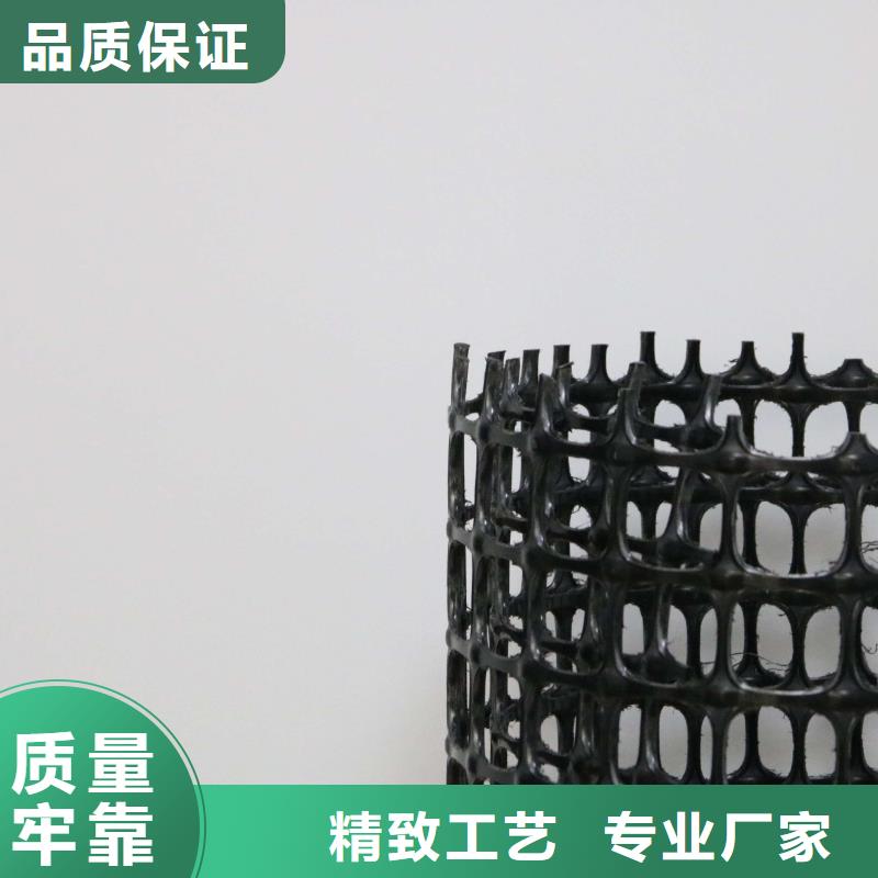 塑料土工格栅hdpe士工膜规格型号全