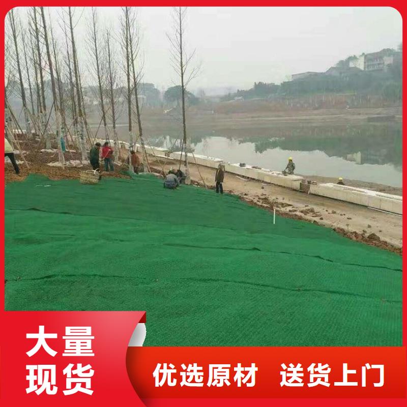 【三维植被网】凸结点钢塑土工格栅加工定制