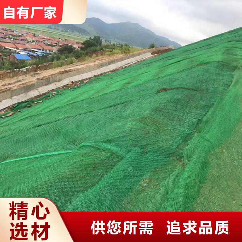 【三维植被网】凸结点钢塑土工格栅加工定制