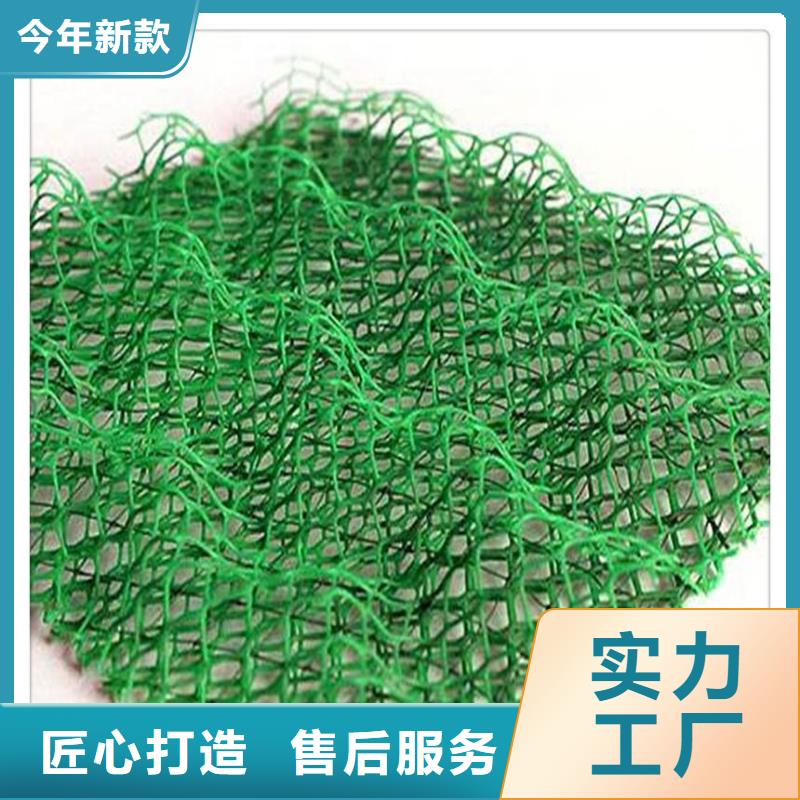 三维植被网土工布今日价格