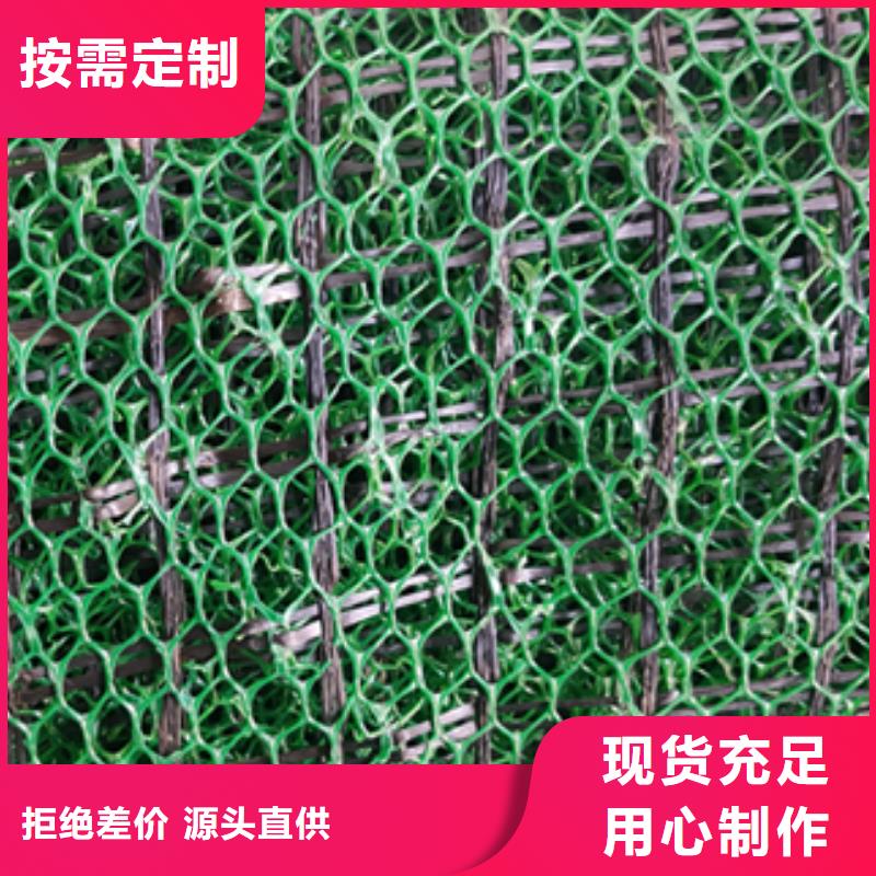 EM4三维植被网绿化植被网价格-2024年最新报价